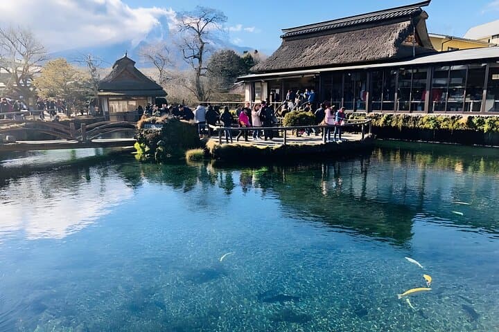 Tokyo Mt Fuji & Kawaguchiko Ropeway & Matcha Tea Group Trip — photo 11