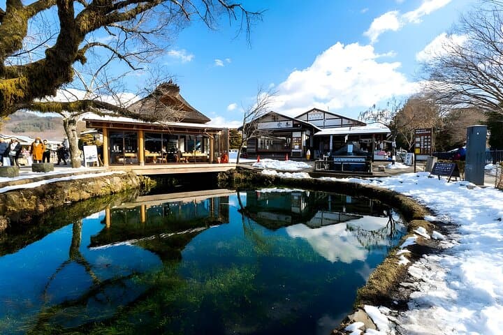 Tokyo Mt Fuji & Kawaguchiko Ropeway & Matcha Tea Group Trip — photo 13