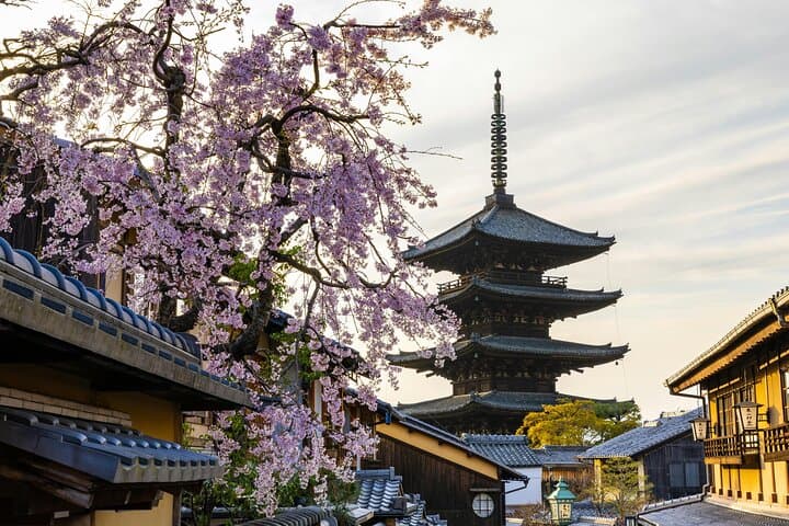 Kyoto Gion Early Morning Walking Tour — photo 4