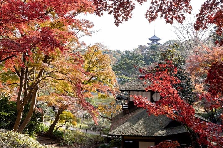 Discover Japan Your Way — photo 2