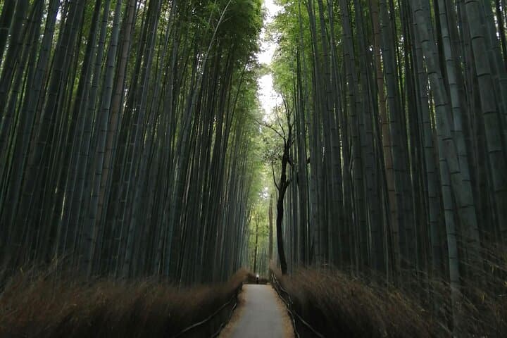 Kyoto Early Bird English Tour: Fushimi-Inari and Arashiyama — photo 10