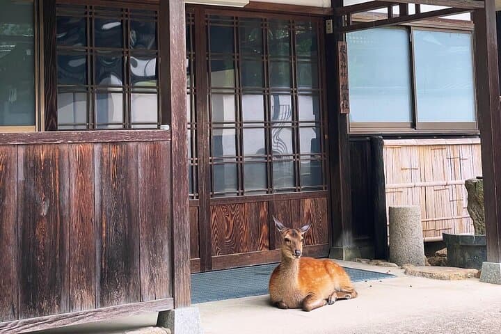Hiroshima & Miyajima: UNESCO A-Bomb Dome & Itsukushima with Local — photo 19