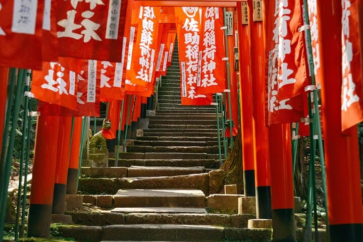 Kamakura Cherry Blossom Half Day Walking Tour with a Local Guide — photo 4