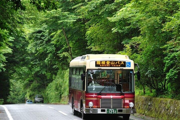 Hakone Free Pass, 2-3 Days Travel Voucher Japan — photo 9