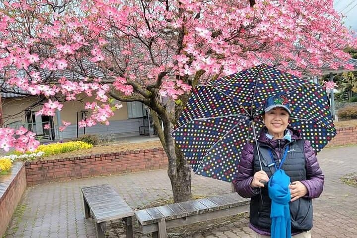 Nagano’s Snow Monkeys and Sake Tasting Day Tour — photo 16