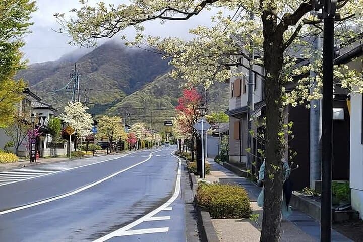 Nagano’s Snow Monkeys and Sake Tasting Day Tour — photo 17