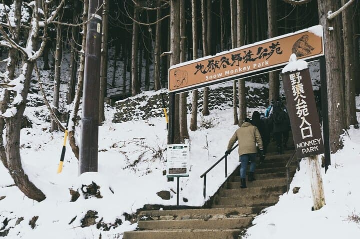 Nagano’s Snow Monkeys and Sake Tasting Day Tour — photo 3