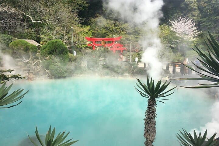 Beppu’s Hidden Gems & Highlights: Exclusive Private Minivan Tour — photo 2