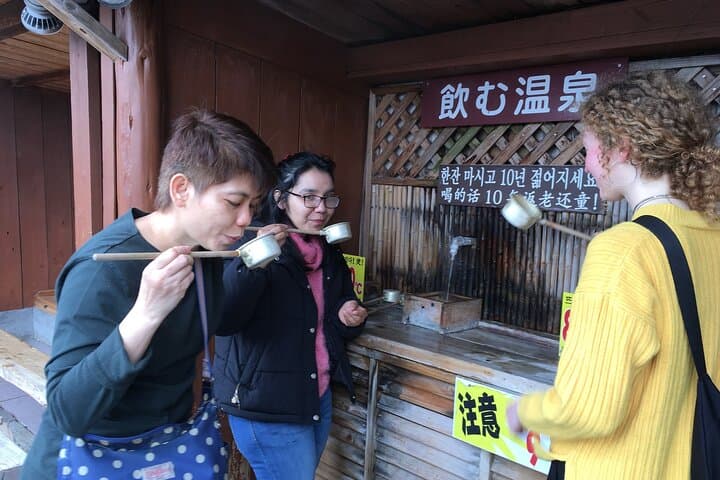 Beppu’s Hidden Gems & Highlights: Exclusive Private Minivan Tour — photo 13