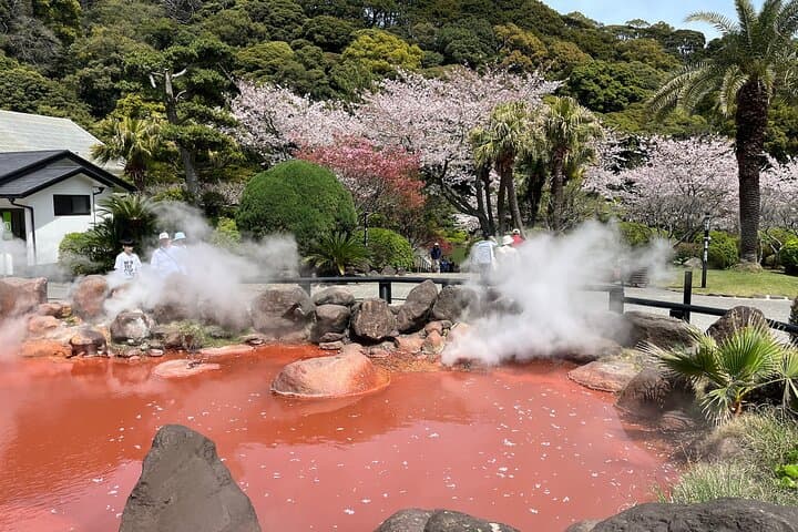Beppu’s Hidden Gems & Highlights: Exclusive Private Minivan Tour — photo 16