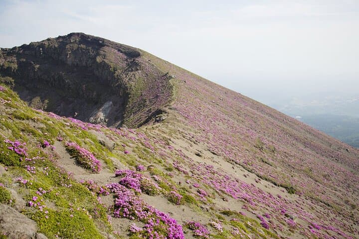 Active Volcano Hiking Tour: Mt. Shinmoe, Miyazaki–Kagoshima,Japan — photo 8