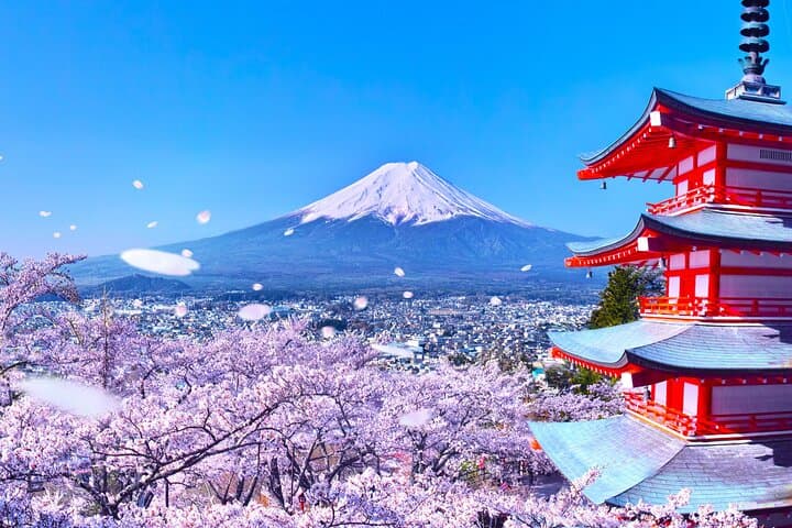 From Tokyo: Mount Fuji Sightseeing Full Day Trip — photo 7