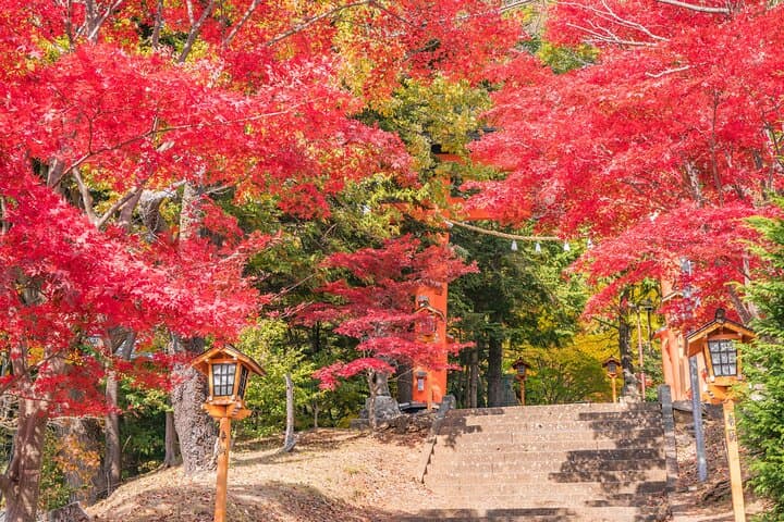 From Tokyo: Mount Fuji Sightseeing One Day Trip — photo 9