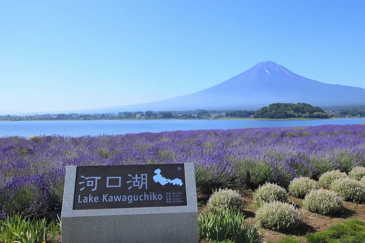 From Tokyo: Mount Fuji Sightseeing Full Day Trip — photo 14