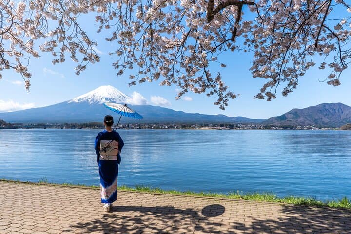 From Tokyo: Mount Fuji Sightseeing One Day Trip — photo 18