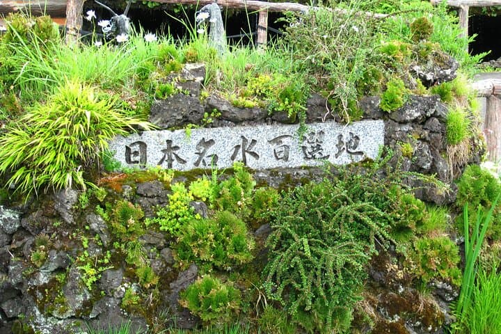 From Tokyo: Mount Fuji Sightseeing Full Day Trip — photo 20