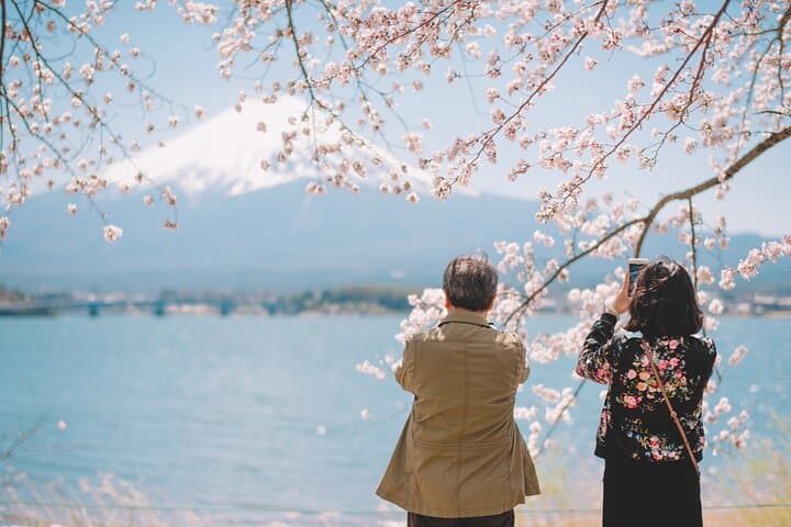 Mt. Fuji Highlight Photo Spots One Day Tour from Tokyo — photo 12