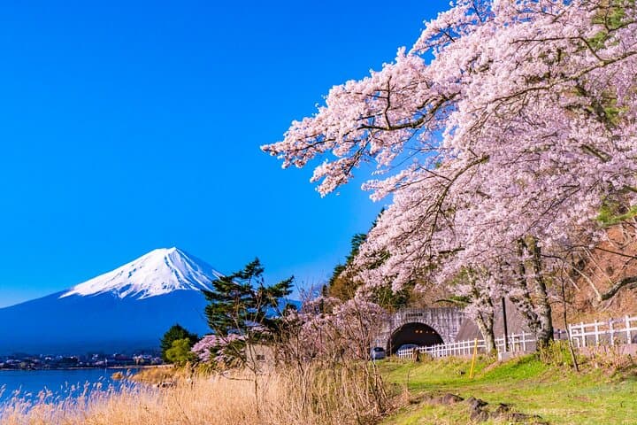 Mt. Fuji Highlight Photo Spots One Day Tour from Tokyo — photo 3