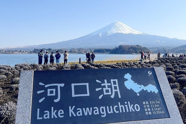 Mt. Fuji Highlight Photo Spots One Day Tour from Tokyo — photo 17