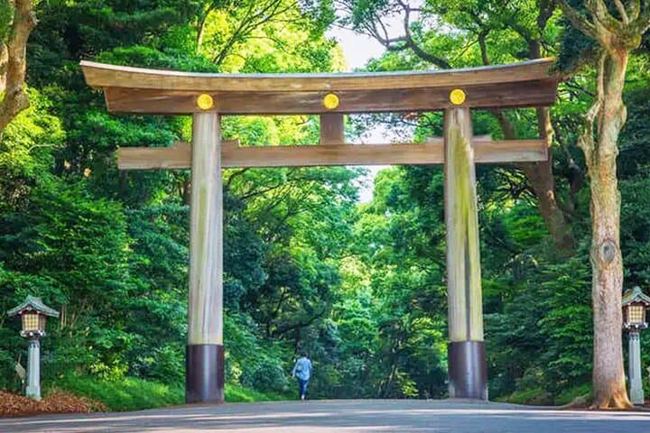 Tokyo: Meiji Shrine Walking Tour — Shintoism & Imperial System — photo 2