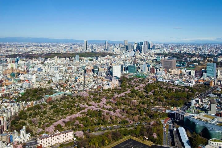 Roppongi Hills Observation Deck Admission Ticket — photo 8