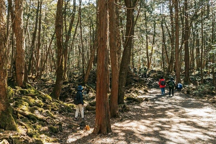 Mt. Fuji Hidden Gems & Aokigahara Forest Private Tour — photo 16