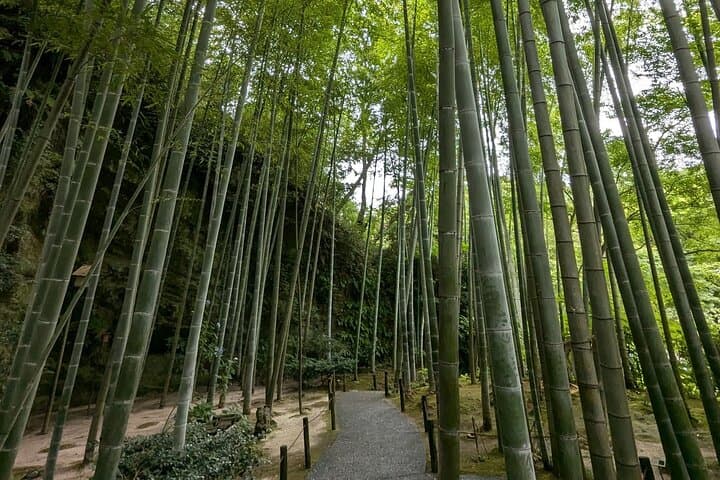 Kamakura and Enoshima Private Tour with English Speaking Driver — photo 16