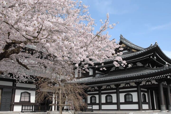 Kamakura and Enoshima Private Tour with English Speaking Driver — photo 11