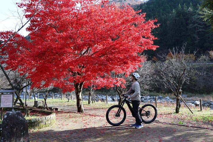 Hida Osaka Cycling Guide Tour Long Course Experience — photo 4