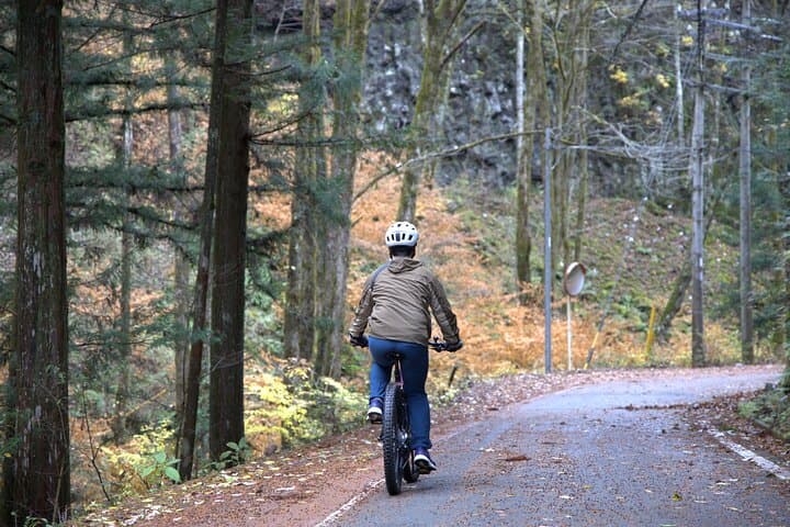Hida Osaka Cycling Guide Tour Long Course Experience — photo 7