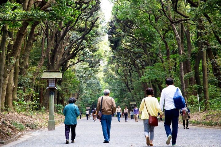 Japanese Art Drive Day Trip Tour — photo 14