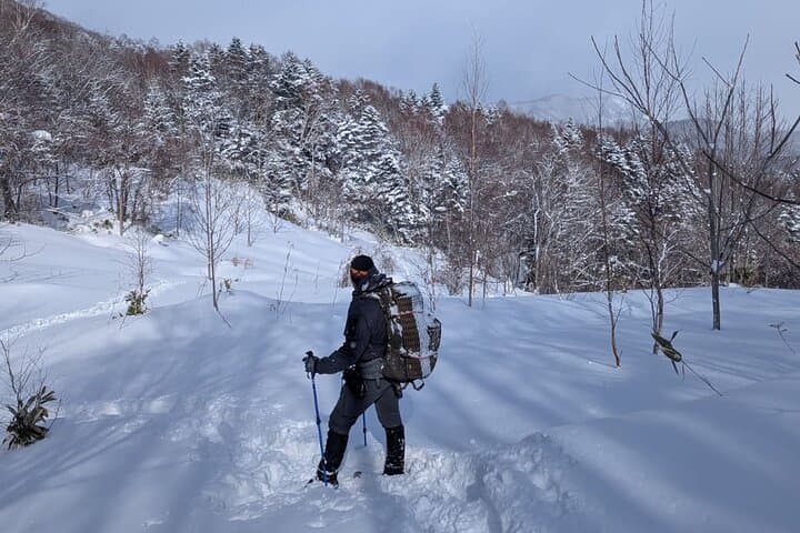 Snowshoeing and Onsen Adventures in a Winter Wonderland -Sapporo. — photo 10