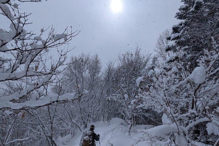 Snowshoeing and Onsen Adventures in a Winter Wonderland -Sapporo. — photo 11