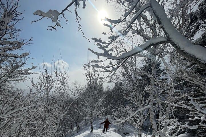 Snowshoeing and Onsen Adventures in a Winter Wonderland -Sapporo. — photo 13