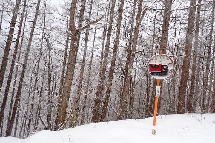 Private Snow Monkey & Frozen Waterfall — Nagano Winter Tour — photo 6