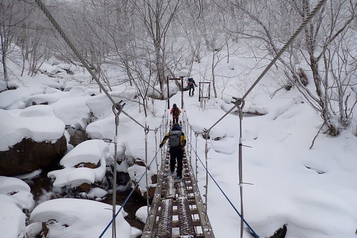 Private Snow Monkey & Frozen Waterfall — Nagano Winter Tour — photo 7
