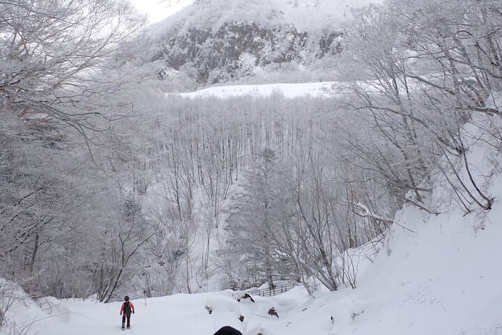 Private Snow Monkey & Frozen Waterfall — Nagano Winter Tour — photo 8
