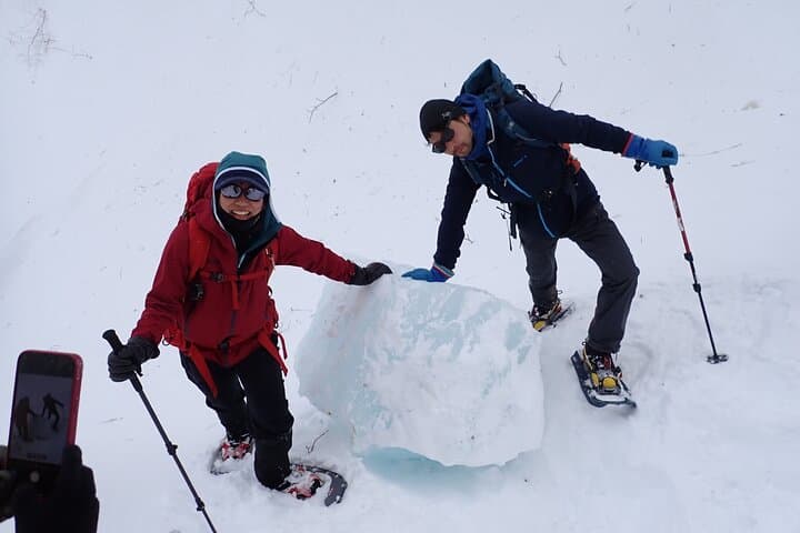 Private Snow Monkey & Frozen Waterfall — Nagano Winter Tour — photo 12
