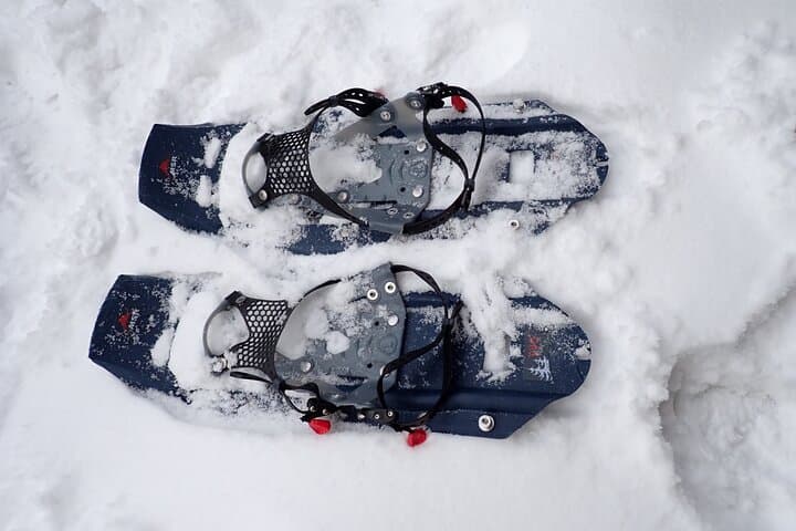 Private Snow Monkey & Frozen Waterfall — Nagano Winter Tour — photo 13