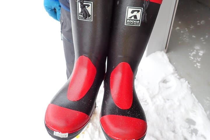 Private Snow Monkey & Frozen Waterfall — Nagano Winter Tour — photo 14