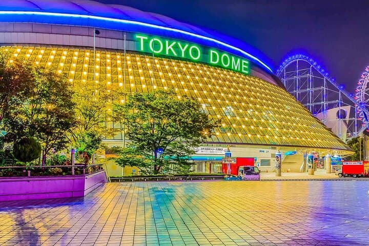 Baseball Professional • Yomiuri Giants