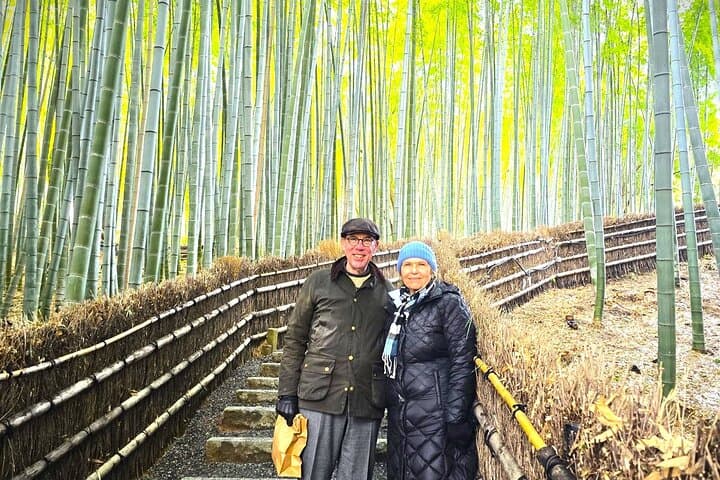 Kyoto: Arashiyama Backstreet & Hidden Temple Guided Tour — photo 2