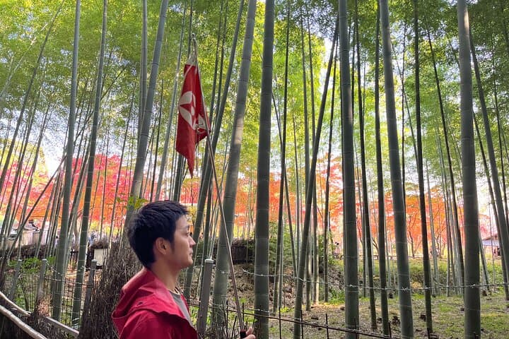 Full Day Kyoto Tour : Bamboo Forest, Golden Temple, Fushimi Inari — photo 8