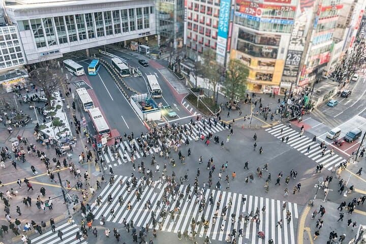 Shinjuku, Harajuku & Shibuya — photo 5