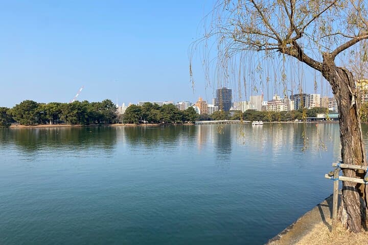 Fukuoka Castle and Hakata Highlights — photo 6