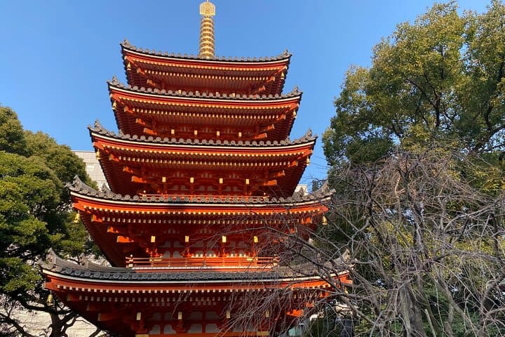 Fukuoka Castle and Hakata Highlights — photo 8