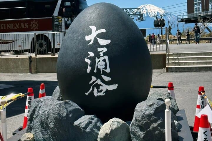 From Tokyo Cherry Blossom Season Private Day Tour in Hakone — photo 3