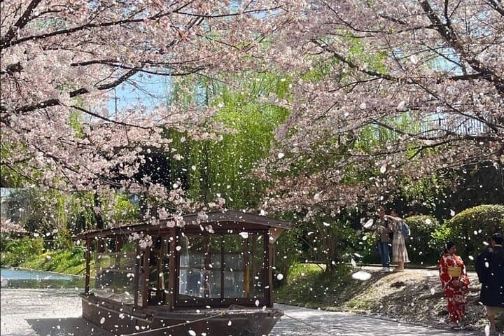 Kyoto City Cherry Blossom Private Sightseeing Tour — photo 1