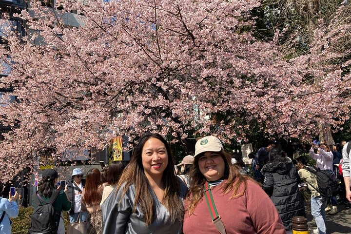 Tokyo 6hr Private Walking Tour with French Speaking Guide Only — photo 8