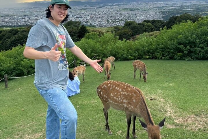 Explore Nara in a Day Van Tour from Kyoto — photo 2